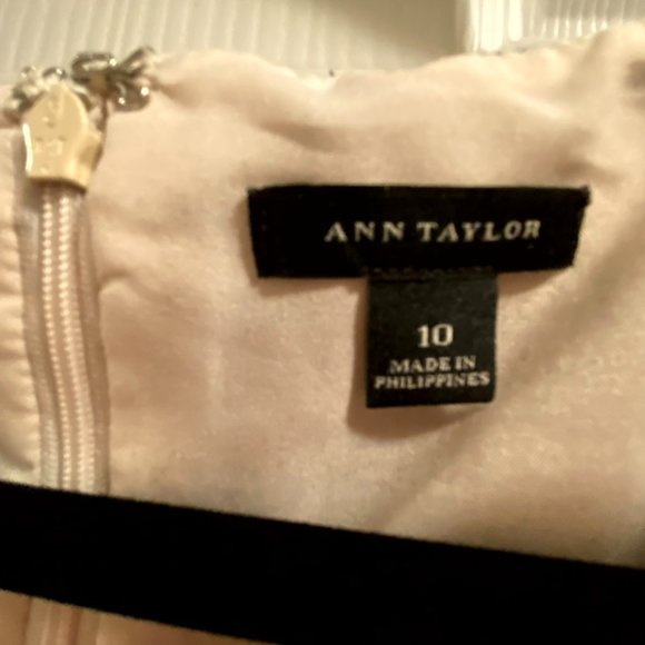 Ann Taylor Pink Tweed Dress with Navy Side Panels and Cap Sleeves - Picture 2 of 4